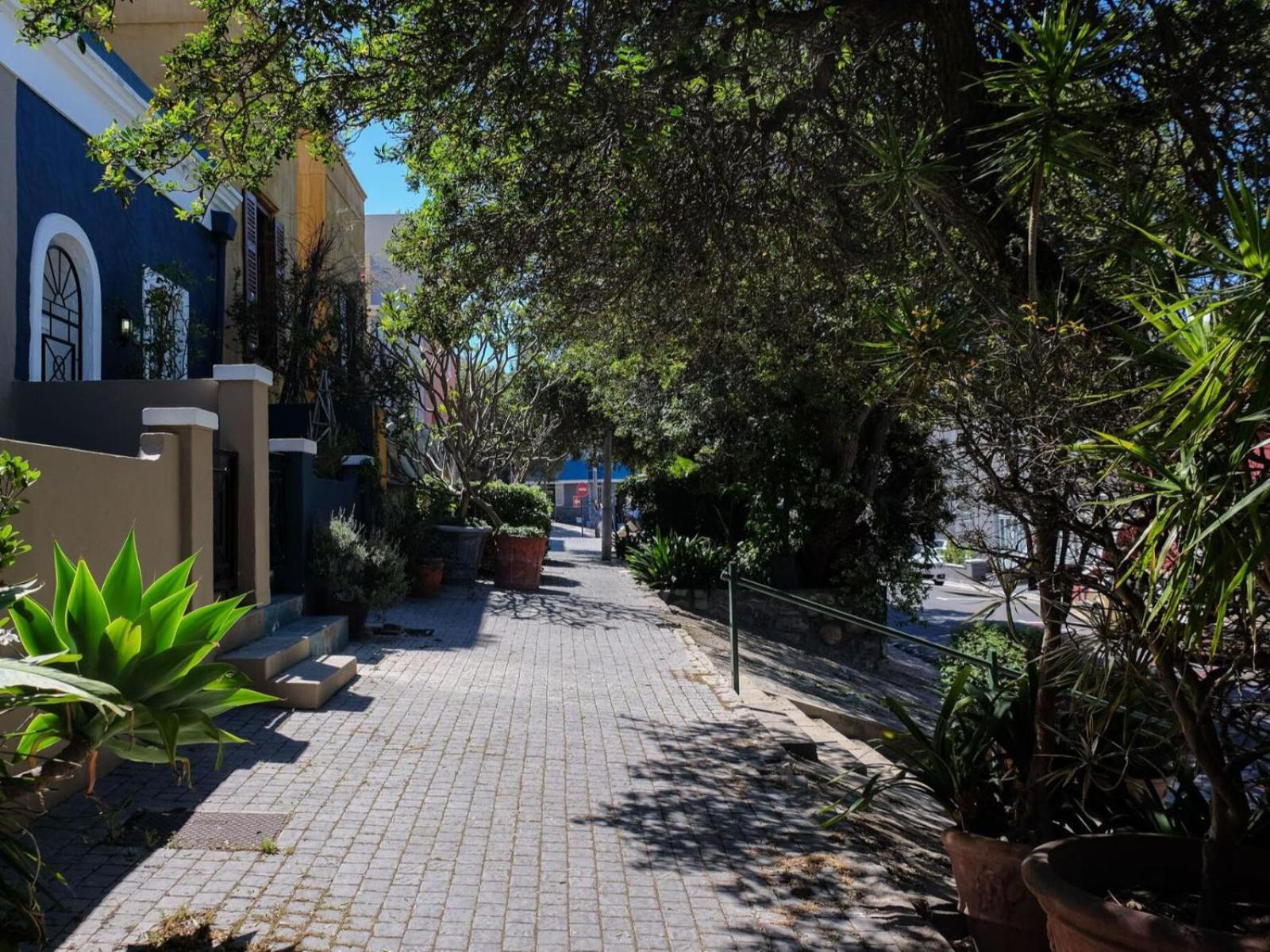 Purple House Accommodations Ciudad del Cabo Exterior foto